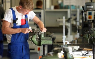 Formazione professionale e borse lavoro: le opportunità in campo